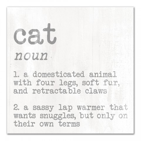 Cat Noun 12x12 Canvas Wall Art