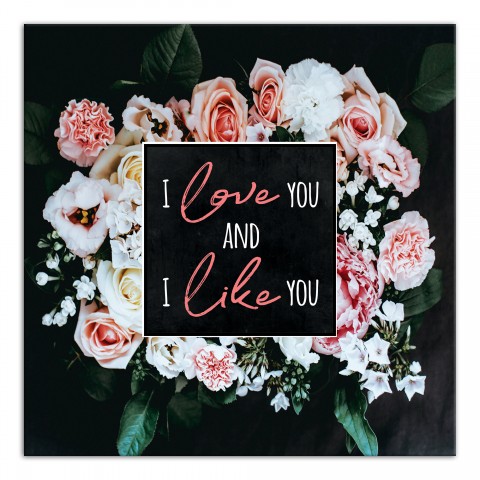 I love you AND I like you Canvas Wall Art