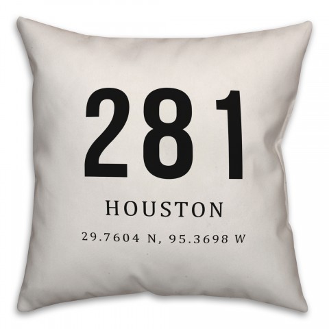 Houston Coordinates 18x18 Indoor / Outdoor Pillow