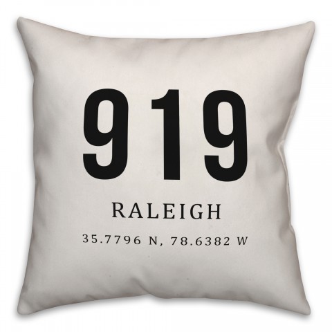 Raleigh Coordinates 18x18 Indoor / Outdoor Pillow