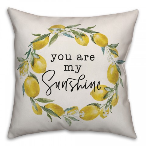 You Are My Sunshine 18x18 Indoor / Outdoor Pillow