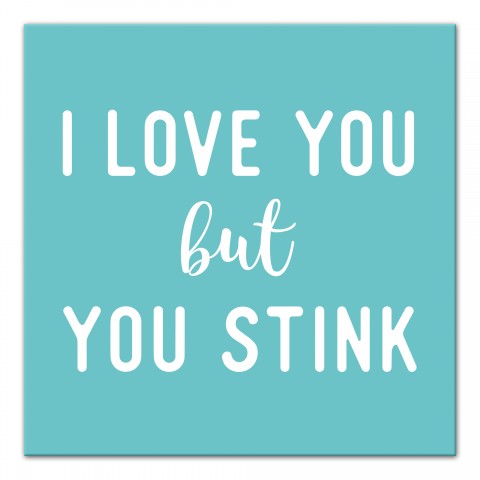I Love You But You Stink 16x16 Canvas Wall Art