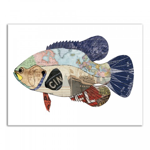 Fish Collage 18x24 Canvas Wall Art