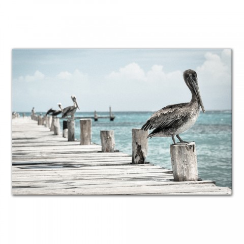 Perched Pelican 20x30 Canvas Wall Art