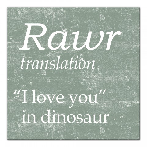 Rawr Translation 12x12 Canvas Wall Art