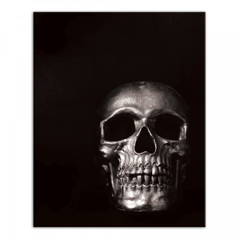 Black and White Skull 16x20 Canvas Wall Art