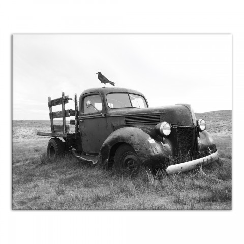 Black and White Truck in Field 16x20 Canvas Wall Art