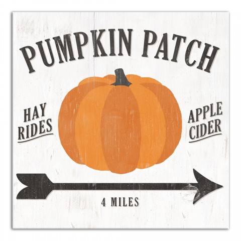 Pumpkin Patch 16x16 Canvas Wall Art