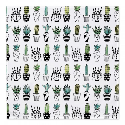 Potted Cactus Pattern 57x57 Tapestry