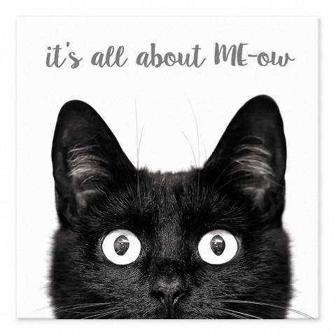 It's All about ME-ow 6x6 Tabletop Canvas
