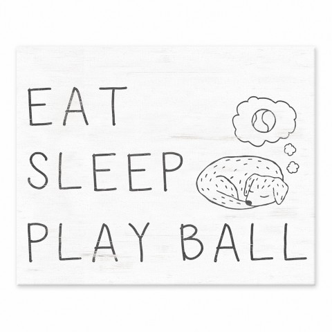Eat Sleep Play Ball 8x10 Tabletop Canvas