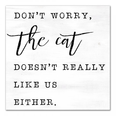 Don't Worry about the Cat 12x12 Canvas Wall Art