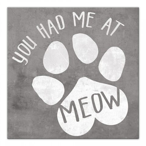 You Had me at Meow 12x12 Canvas Wall Art