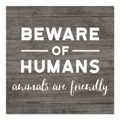 Beware of Humans 6x6 Tabletop Canvas