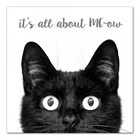 It's All about ME-ow 12x12 Canvas Wall Art