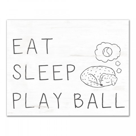 Eat Sleep Play Ball 11x14 Canvas Wall Art