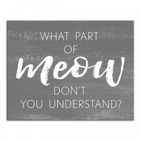 What Part of Meow 11x14 Canvas Wall Art