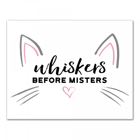 Whiskers Before Misters 11x14 Canvas Wall Art