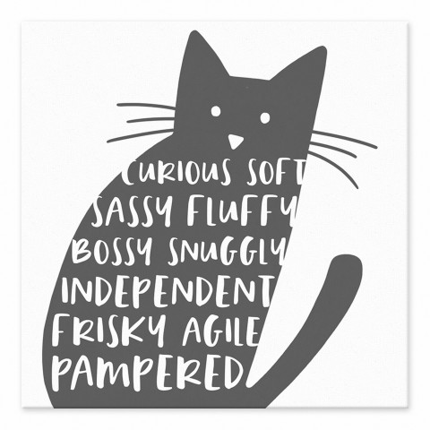 Curious Cat 6x6 Tabletop Canvas