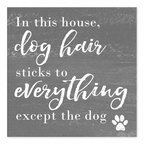 Dog Hair 6x6 Tabletop Canvas