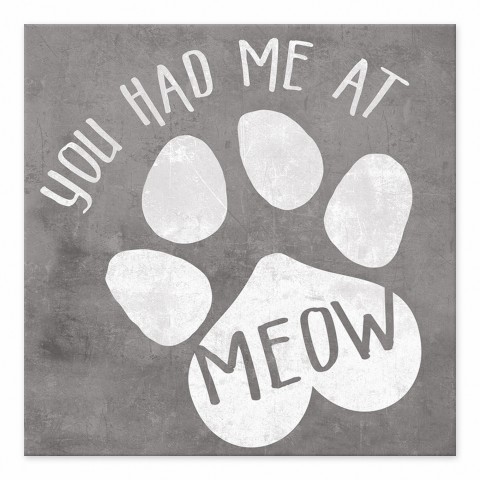 You Had me at Meow 6x6 Tabletop Canvas