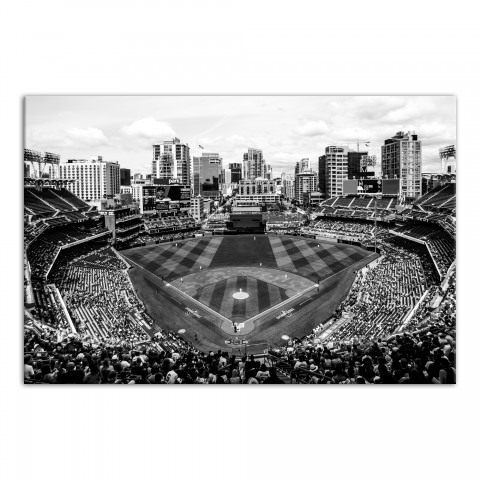 Baseball Stadium Fisheye 20x30 Canvas Wall Art