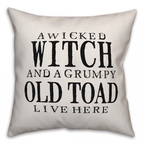 A Wicked Witch and Grumpy Toad Pillow