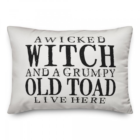 A Wicked Witch and Grumpy Toad Pillow