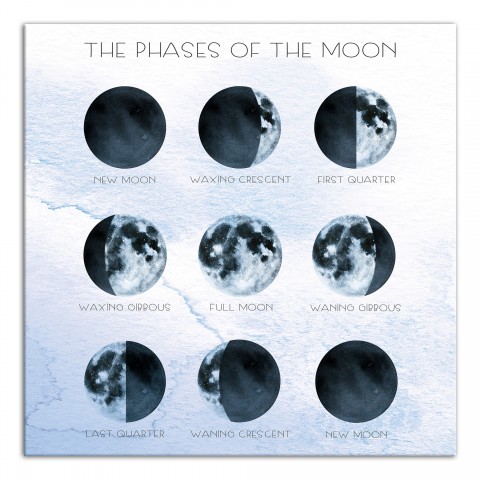 Phases of the Moon 16x16 Canvas Wall Art