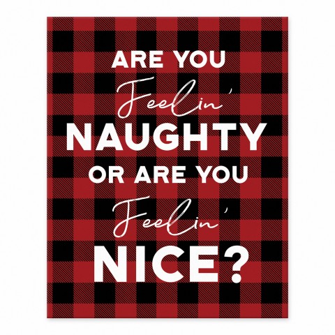 Are You Naughty Or Nice? 8x10 Tabletop Canvas