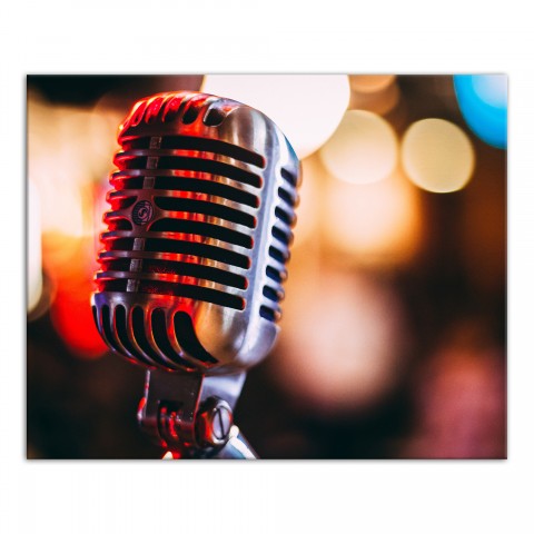 Vintage Microphone 16x20 Canvas Wall Art