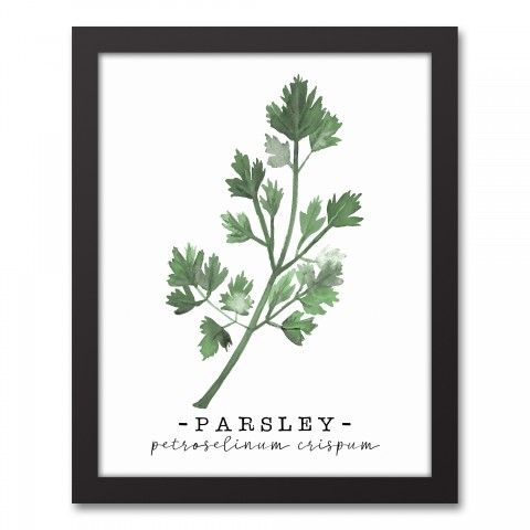 Watercolor Parsley 11x14 Black Framed Canvas