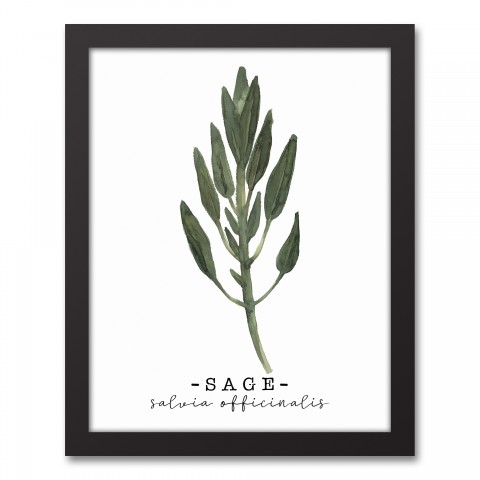 Watercolor Sage 11x14 Black Framed Canvas