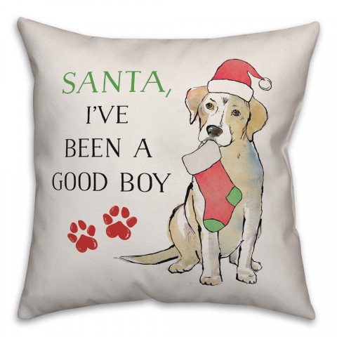 I've Been a Good Boy Pillow