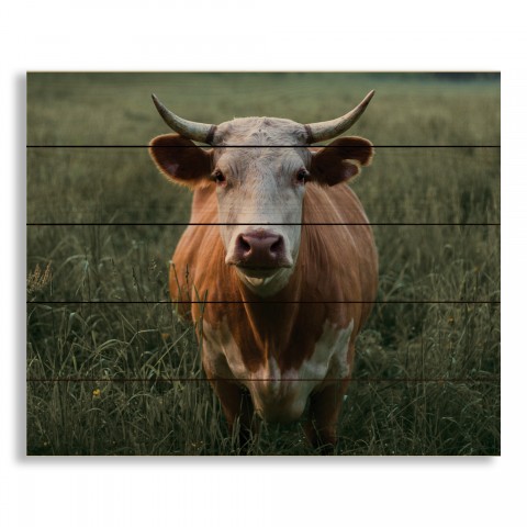 Calm Cow 22x18 Pallet Wood Art