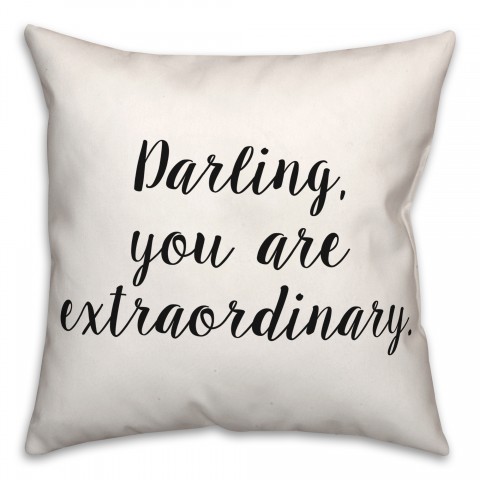 Extraordinary 2  18x18 Spun Poly Pillow
