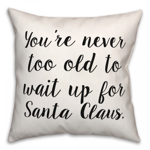 Wait For Santa  18x18 Spun Poly Pillow