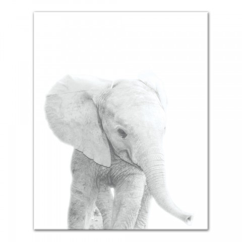 Baby Elephant Wall Art