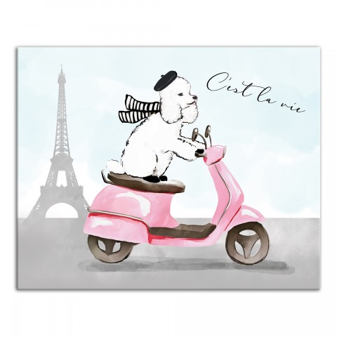 Sassy French Poodle Wall Art