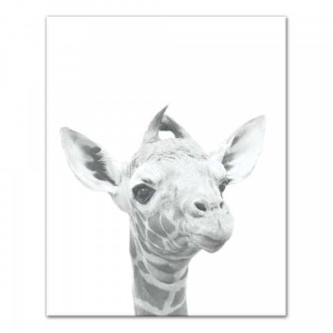Baby Giraffe Wall Art