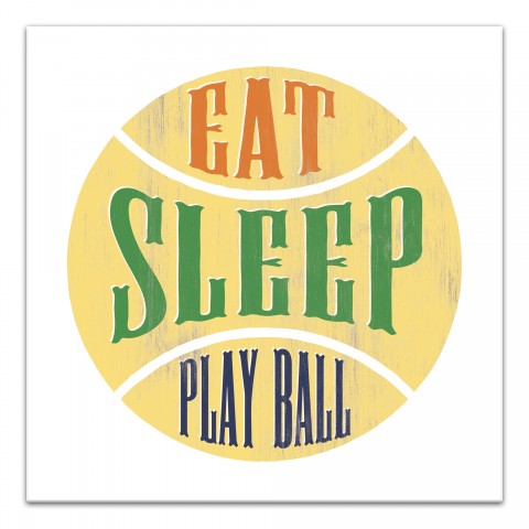 Eat Sleep Play Ball Wall Art