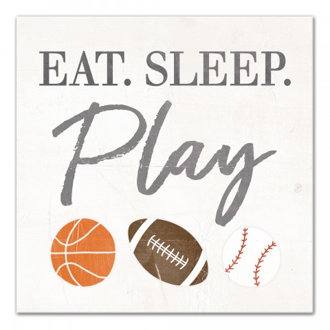 Eat Sleep Play Sports Wall Art