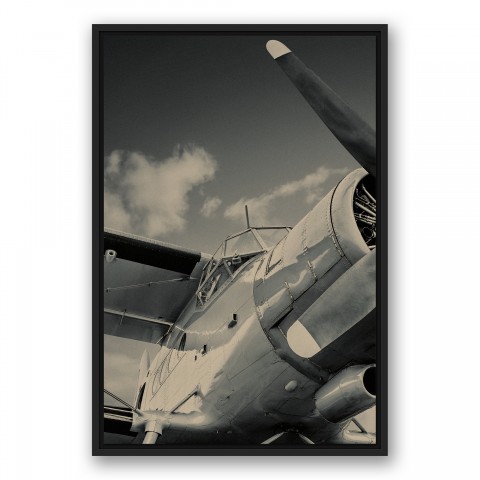 Vintage Plane I 20x30 Black Floating Framed Canvas