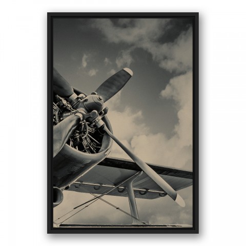 Vintage Plane II 20x30 Black Floating Framed Canvas