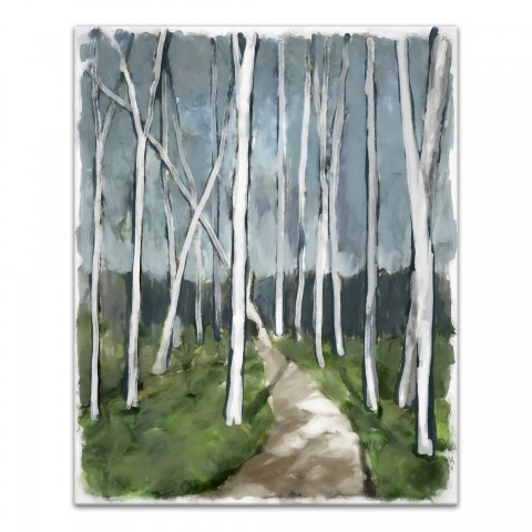 Soft Birch Path 16x20 Canvas Wall Art