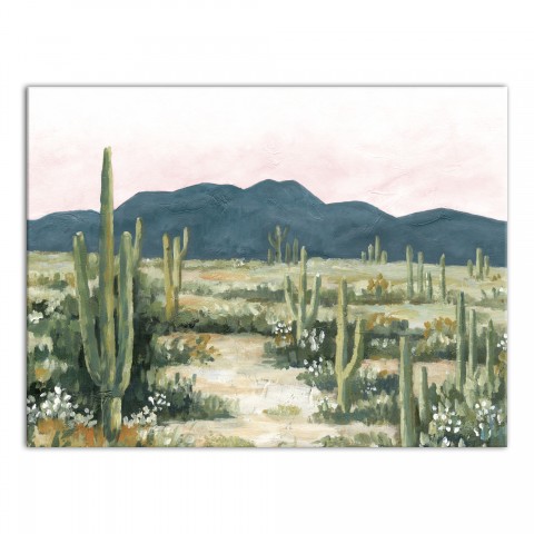 Painted Desert Landscape 30x40 Canvas Wall Art