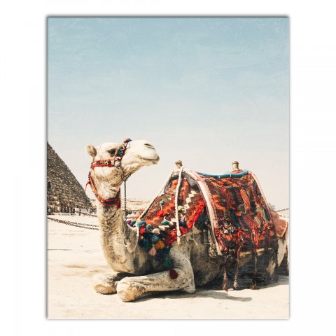 Boho Camel with Distressing 24x30 Canvas Wall Art