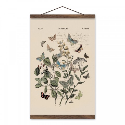 Vintage Butterfly Diagram 12x18 Teak Hanging Canvas