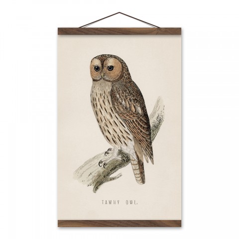 Vintage Owl Print 12x18 Teak Hanging Canvas