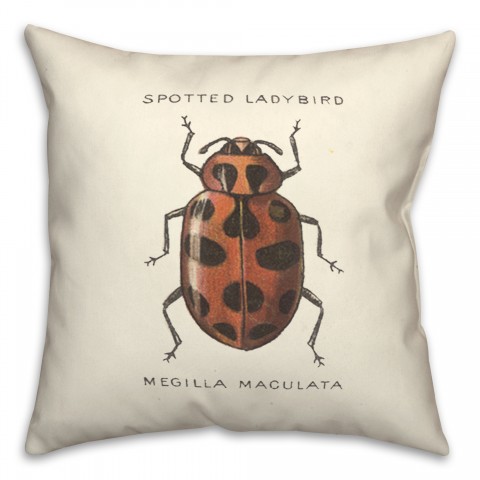 Vintage Ladybug Diagram 18x18 Spun Poly Pillow